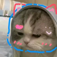 còn t/g hay mất trí nhớ :))))