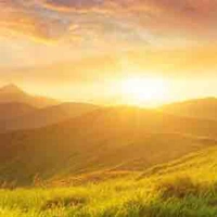 All(trừ ai cần trừ)