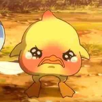 myu 