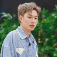 Dương Domic