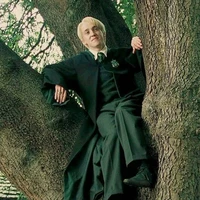 Draco Malfoy