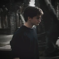 Harry Potter | Cậu