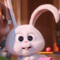 Bunny girl ( thỏ )