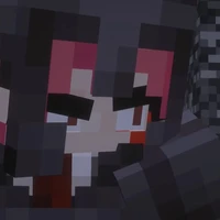 H1h4.- Phó Hội Trưởng Hội HS.