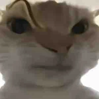 Tacgia