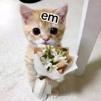 tác giả đây