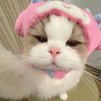 con mắm tác giả