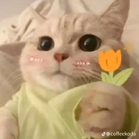 Tất cả 