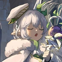 Nahida🌿