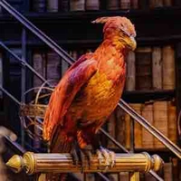 Fawkes