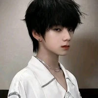 Vương Lỗ Kiệt_gã