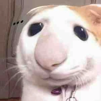 Con tác giả mê gái 