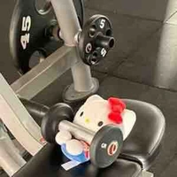 Dưa lưới 🍈(tg)