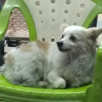 tác giả đáng yêu nhất ngoài hành tinh