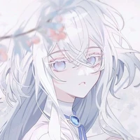 Noel Akiko