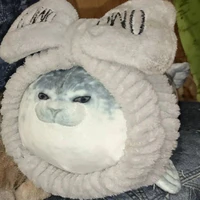 t/g