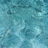 The Underdogs / các con cún con