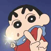 Shin