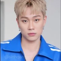 dương domic