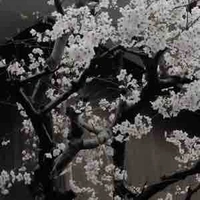 『ℕhân vật phụ』