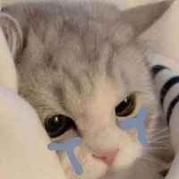 Tác giả 💞