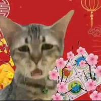 Cả lớp (cờ bạc)