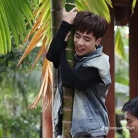 Sứa vô tri