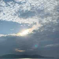 Đa nhân vật phụ 