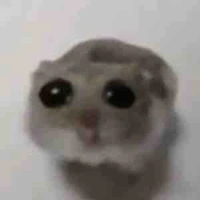 T/g