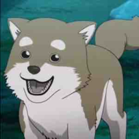 shiro