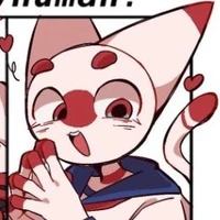 Japan /nekomi