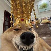 MC chó điên