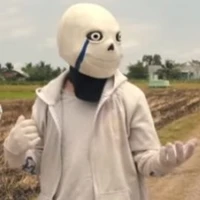 Alpha sans