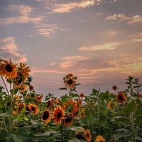 những người có mặt ở đóa