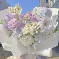 ✰YAN✰