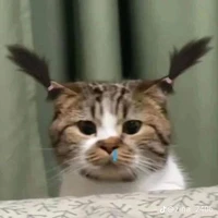 Đỗ Ngọc My (em gái doo)