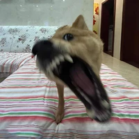 Nhỏ t/g nè
