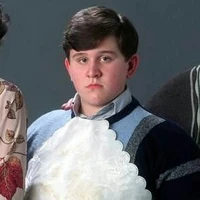 dudley dursley