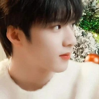 Lưu Diệu Văn