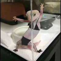 vật j đó