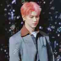 Thái Sơn(Cây Son)