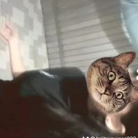 T/G