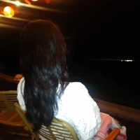 Tác giả mèo 😺