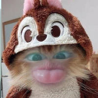 tác giả đayy nè!?