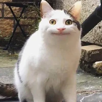 mấy ah ck