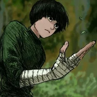Rock lee 