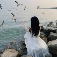 sơn  mỹ châu(chj nam 9)