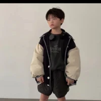 sơn bảo lục(nhỏ)