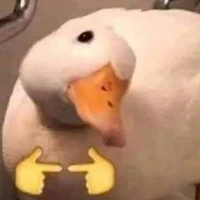 t/g