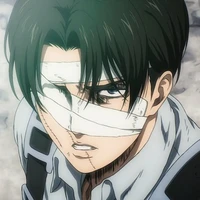 - 𝙩𝙝𝙚 𝙖𝙪𝙩𝙝𝙤𝙧/𝙬𝙧𝙞𝙩𝙚𝙧 -